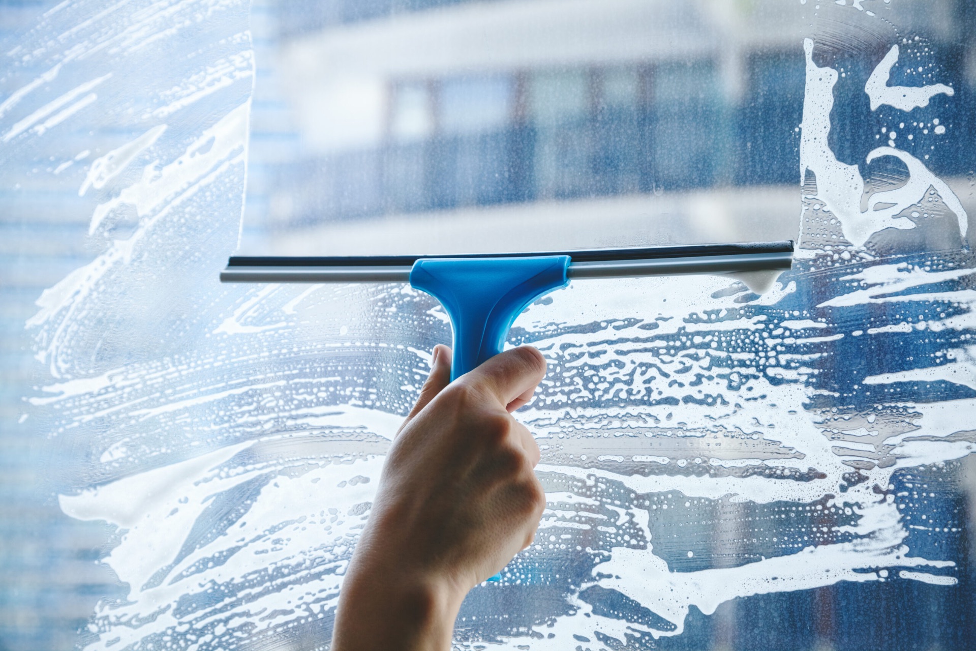 Window Cleaning — professional cleaning